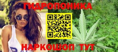 бошки Бийск