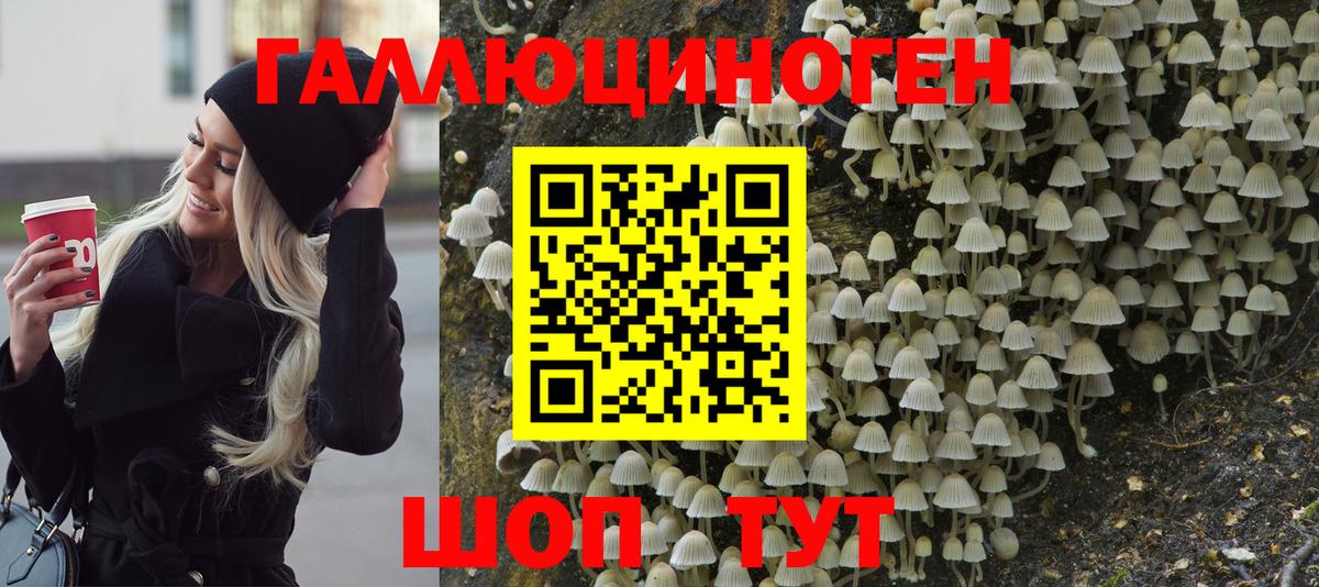 Псилоцибиновые грибы прущие грибы  Галлюциногенные грибы MAGIC MUSHROOMS  Вход с VPN  Качканар 