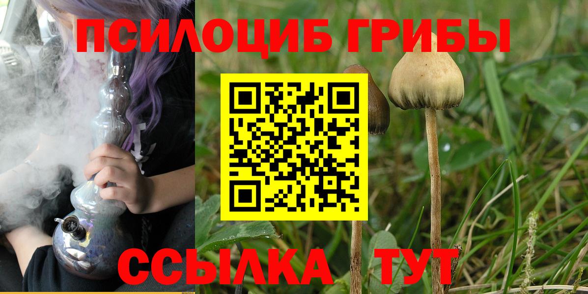 Псилоцибиновые грибы Magic Shrooms Качканар